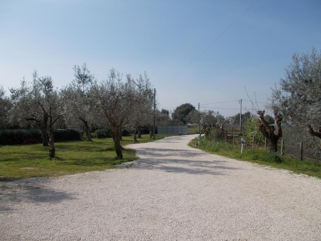 ホテル Casa Degli Ulivi チボリ エクステリア 写真
