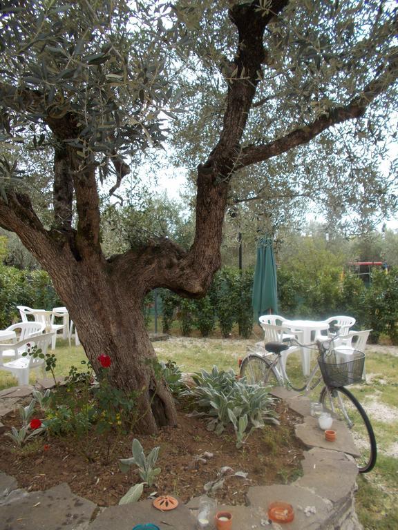ホテル Casa Degli Ulivi チボリ エクステリア 写真
